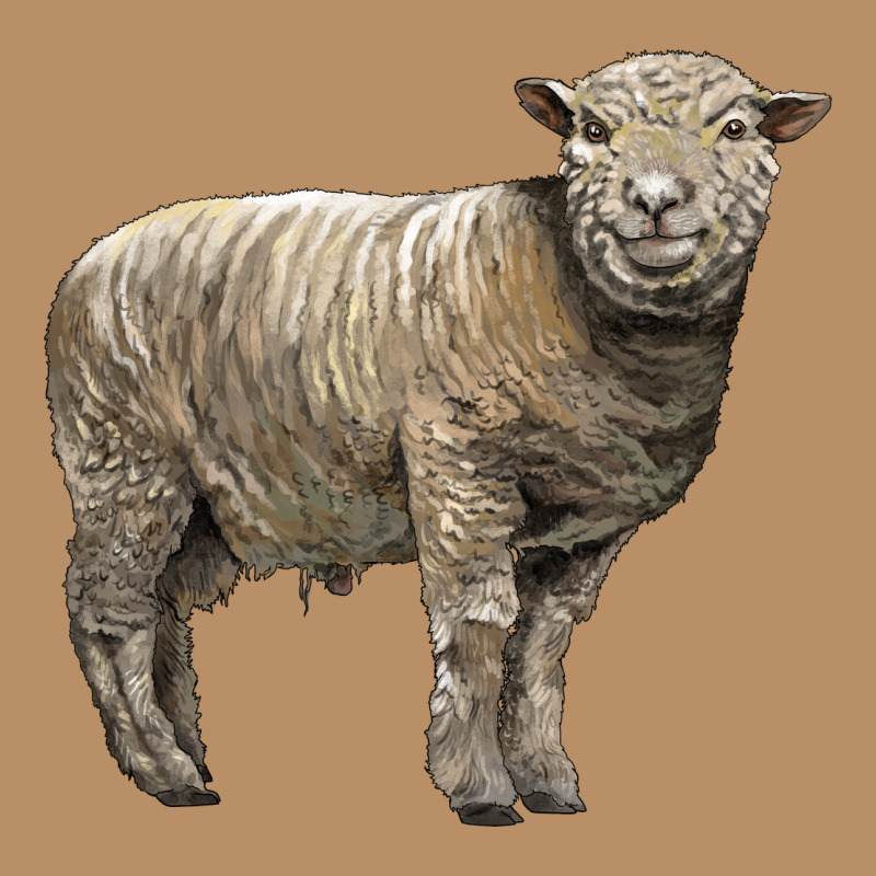 Southdown Sheep Vintage Hoodie by LillyAllenDesigns | Teevron