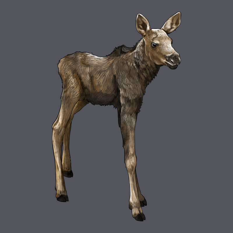 Moose Fawn Deer Vintage Hoodie by LillyAllenDesigns | Teevron