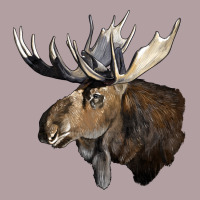 Moose Buck Deer Head Vintage Hoodie | Teevron
