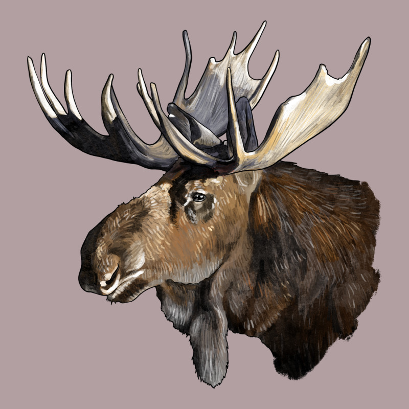 Moose Buck Deer Head Vintage Hoodie by LillyAllenDesigns | Teevron