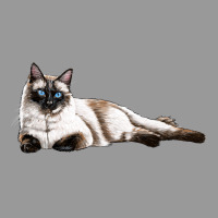 Siamese Vintage Hoodie | Teevron