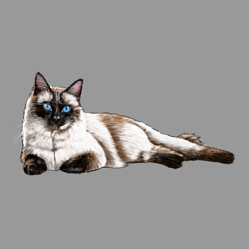 Siamese Vintage Hoodie by LillyAllenDesigns | Teevron