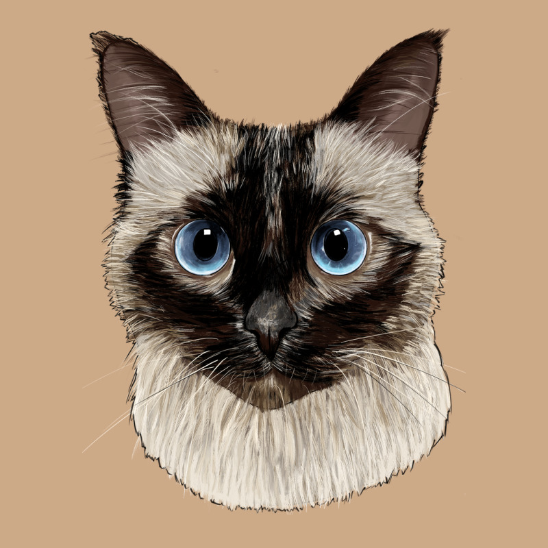 Siamese Face Vintage Hoodie by LillyAllenDesigns | Teevron