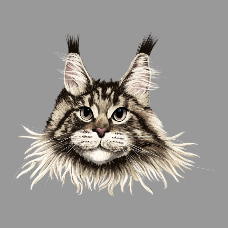 Maine Coon Cat Face Vintage Hoodie by LillyAllenDesigns | Teevron