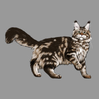 Maine Coon Cat Vintage Hoodie | Teevron