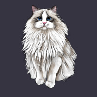 Ragdoll Cat Vintage Hoodie | Teevron