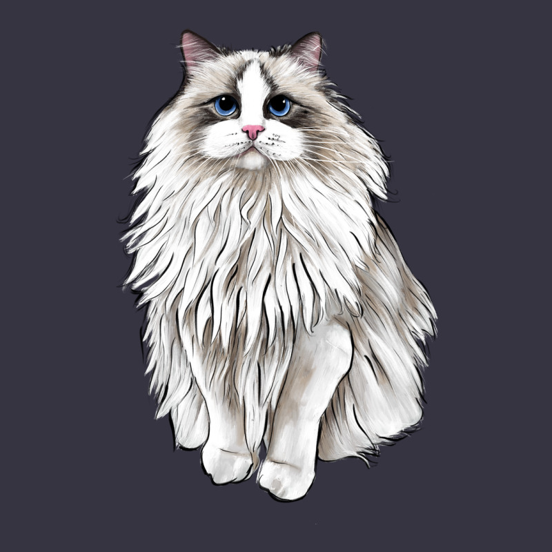Ragdoll Cat Vintage Hoodie by LillyAllenDesigns | Teevron