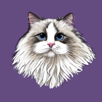 Ragdoll Face Cat Vintage Hoodie | Teevron