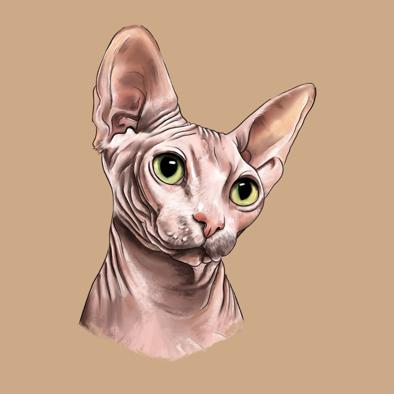 Sphynx Cat Vintage Hoodie by LillyAllenDesigns | Teevron