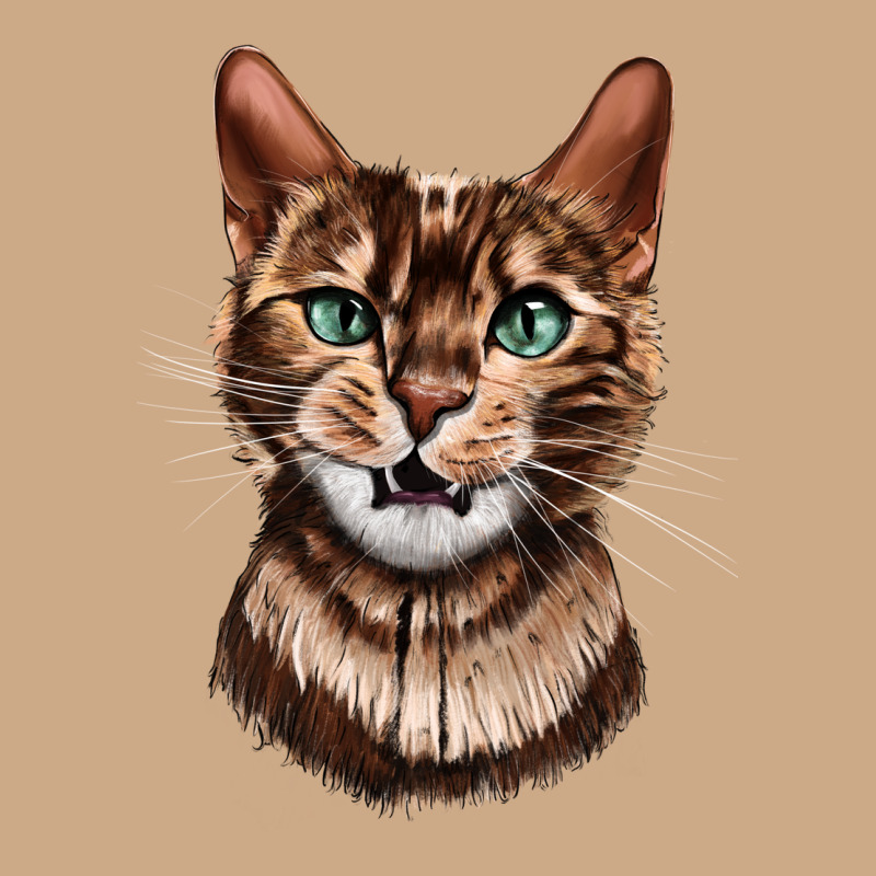Bengal Cat Face Vintage Hoodie by LillyAllenDesigns | Teevron