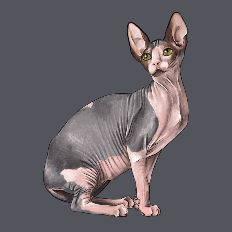 Sphynx Cat Vintage Hoodie by LillyAllenDesigns | Teevron