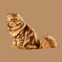 Persian Cat Vintage Hoodie | Teevron