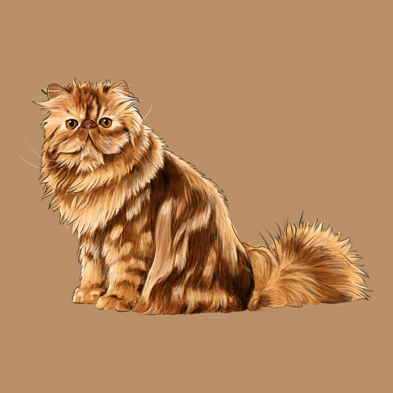 Persian Cat Vintage Hoodie by LillyAllenDesigns | Teevron