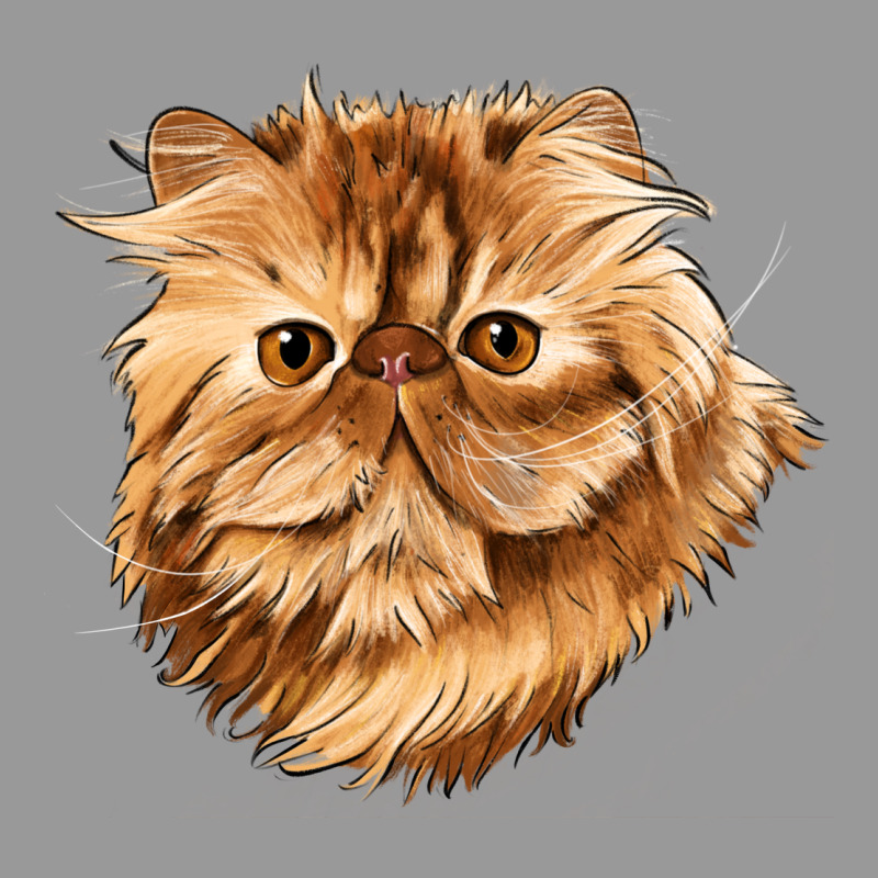 Persian Cat Face Vintage Hoodie by LillyAllenDesigns | Teevron