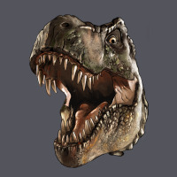 Tyrannosaurus T Rex Face Vintage Hoodie | Teevron