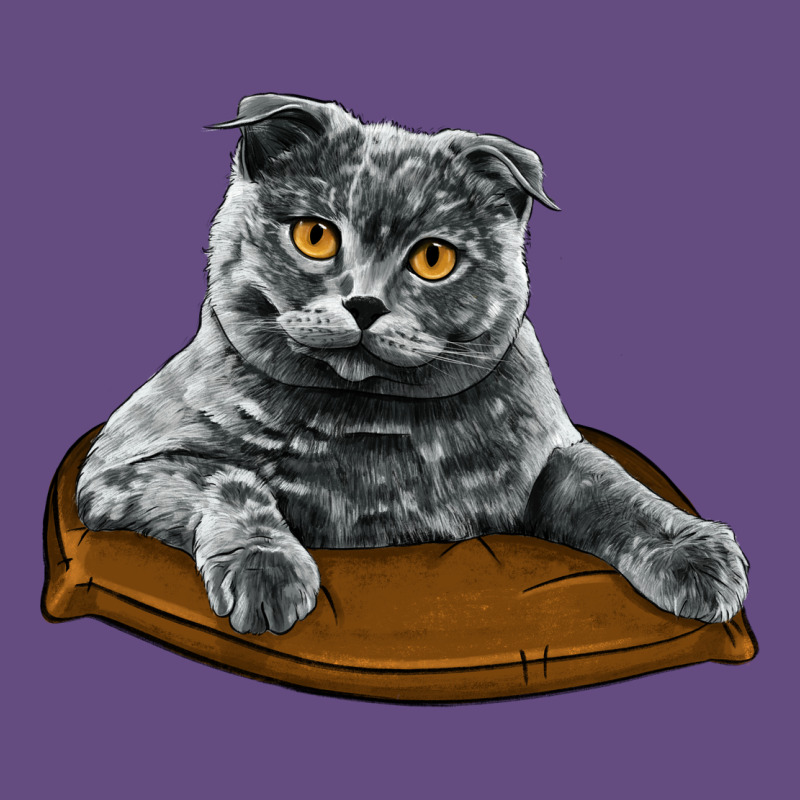 Scottish Fold Vintage Hoodie by LillyAllenDesigns | Teevron