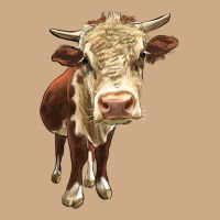 Hereford Heifer Vintage Hoodie | Teevron