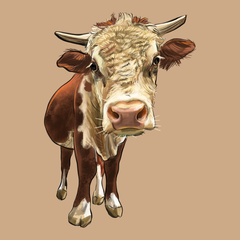 Hereford Heifer Vintage Hoodie by LillyAllenDesigns | Teevron