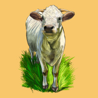 Charolais Heifer Vintage Hoodie | Teevron