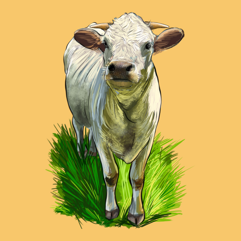 Charolais Heifer Vintage Hoodie by LillyAllenDesigns | Teevron