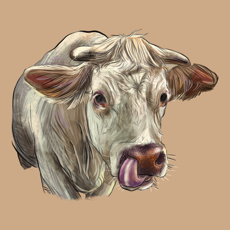 Charolais Cattle Face Vintage Hoodie by LillyAllenDesigns | Teevron
