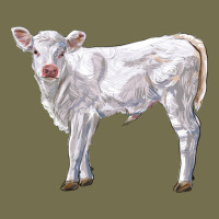 Charolais Calf Vintage Hoodie | Teevron
