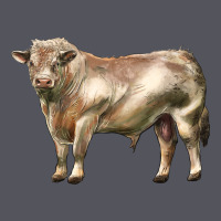 Charolais Bull Vintage Hoodie | Teevron