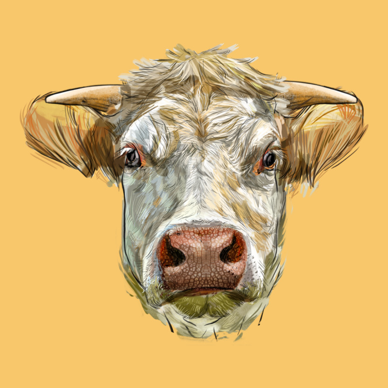 Charolais Bull Face Vintage Hoodie by LillyAllenDesigns | Teevron