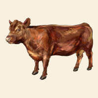 Red Angus Cow Vintage Hoodie | Teevron
