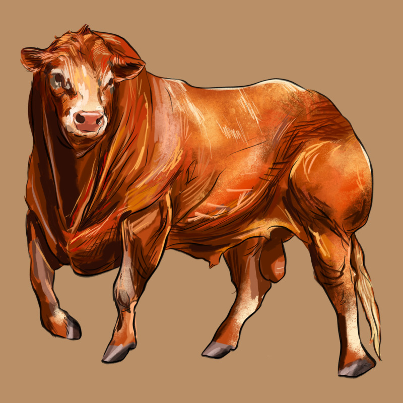 Red Angus Bull Vintage Hoodie by LillyAllenDesigns | Teevron