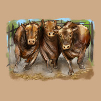 3 Red Angus Bulls Vintage Hoodie | Teevron