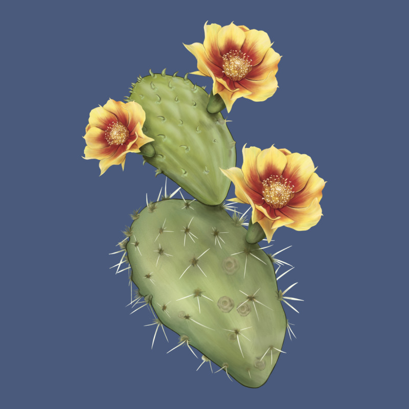 Opuntia Phaeacantha Vintage Hoodie by LillyAllenDesigns | Teevron