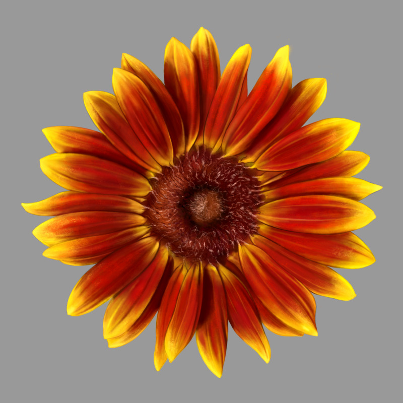 Little Becka Sunflower Vintage Hoodie by LillyAllenDesigns | Teevron