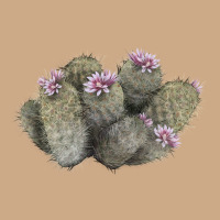 Cob Beehive Cactus Vintage Hoodie | Teevron