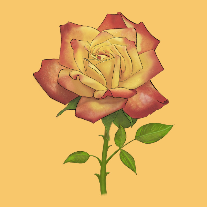 Rainbow's End Rose Vintage Hoodie by LillyAllenDesigns | Teevron