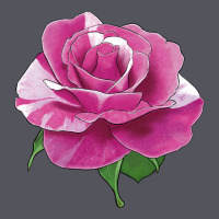 Parade Day Rose Vintage Hoodie | Teevron