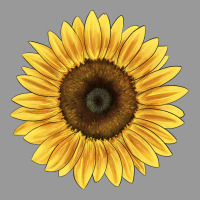 Giganteus Sunflower Vintage Hoodie | Teevron
