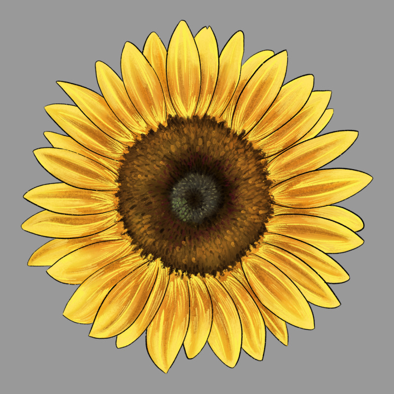 Giganteus Sunflower Vintage Hoodie by LillyAllenDesigns | Teevron