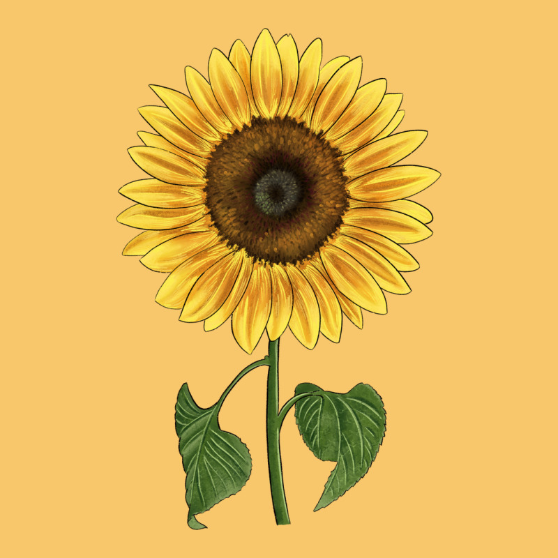 Giganteus Sunflower Vintage Hoodie by LillyAllenDesigns | Teevron