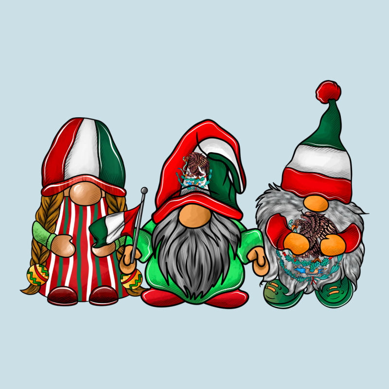 Mexican Flag Gnomes Ladies Tee by RacoonDesign | Teevron