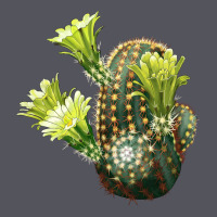 Nylon Hedgehog Cactus Vintage Hoodie | Teevron