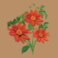 Tithonia Fiesta Del Sol Sunflower Vintage Hoodie | Teevron