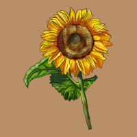 Mammoth Sunflower Vintage Hoodie | Teevron