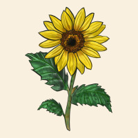 Sunray Yellow Sunflower Vintage Hoodie | Teevron