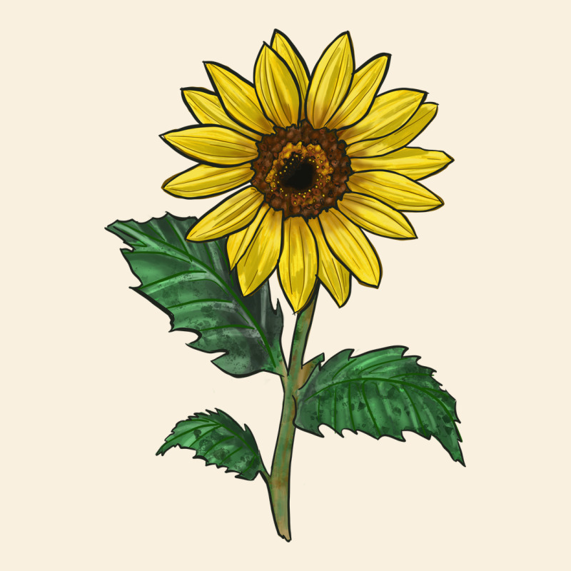 Sunray Yellow Sunflower Vintage Hoodie by LillyAllenDesigns | Teevron