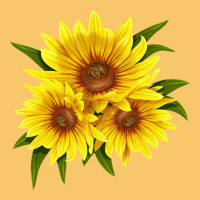 Maximillian Perennial Sunflower Vintage Hoodie | Teevron