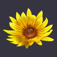 Maximillian Perennial Sunflower Vintage Hoodie | Teevron