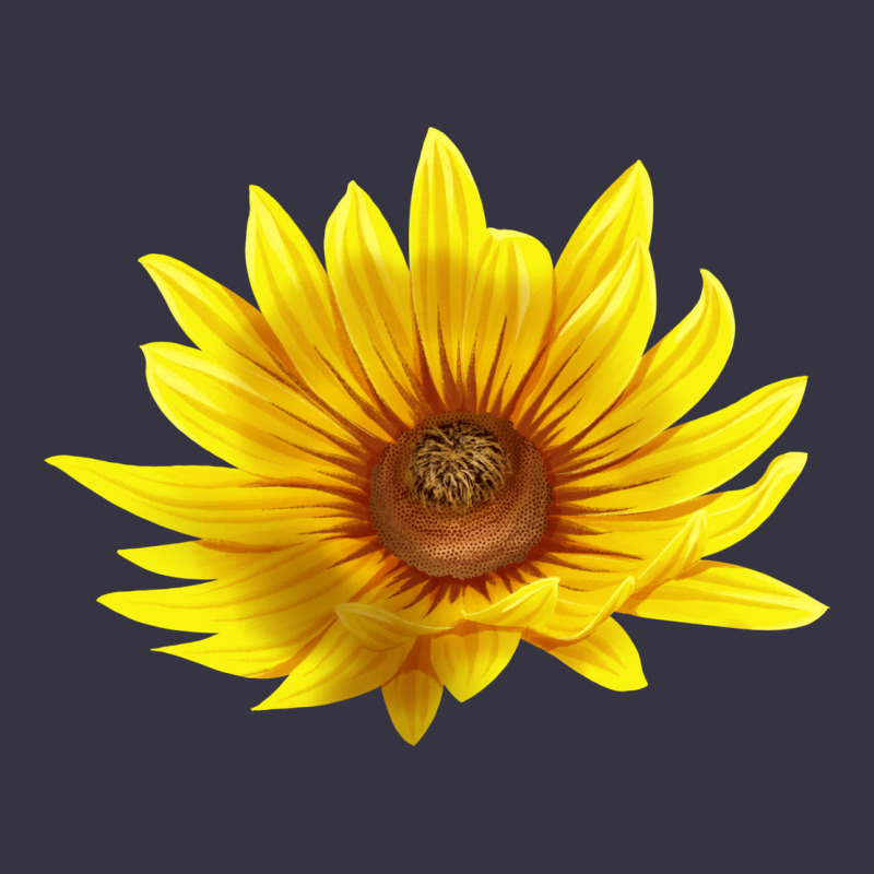 Maximillian Perennial Sunflower Vintage Hoodie by LillyAllenDesigns | Teevron