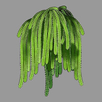 Selenicereus Cactus Vintage Hoodie | Teevron