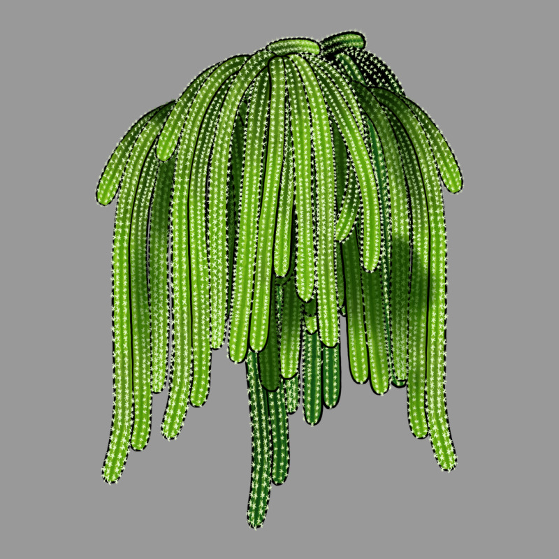 Selenicereus Cactus Vintage Hoodie by LillyAllenDesigns | Teevron